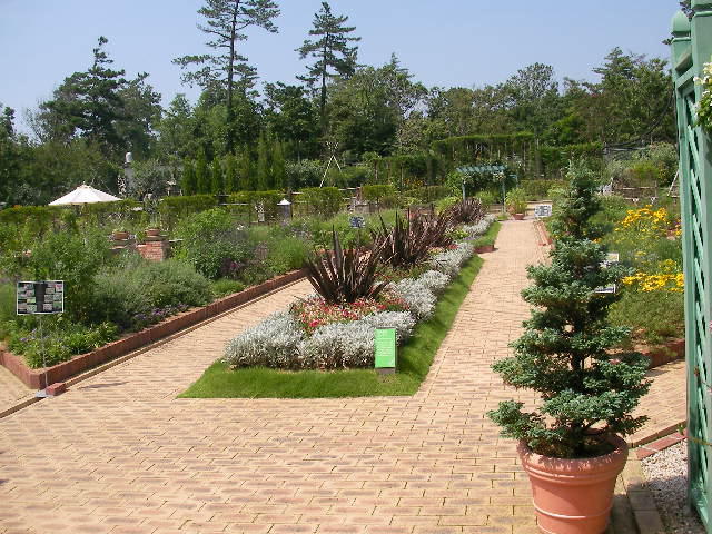 屋外庭園