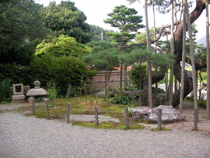 前の庭
